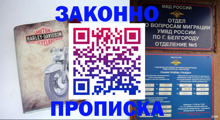 прописка для школы в Лузе